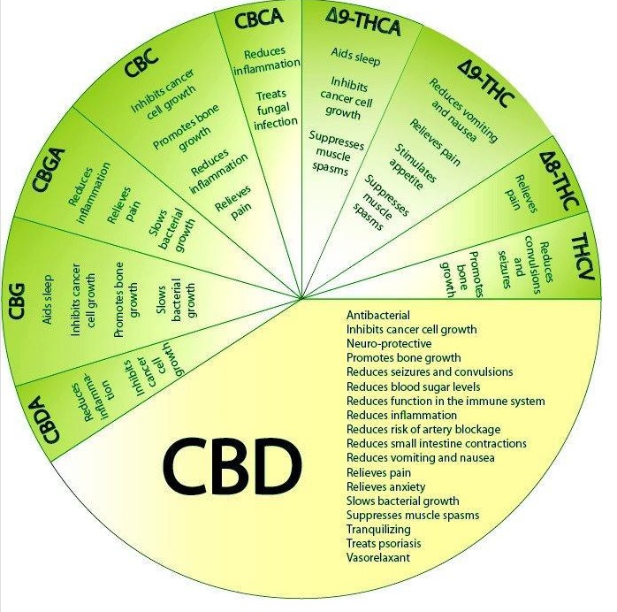 CannabinoidsPieChart-1.jpg?1640220098703