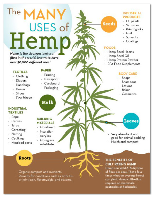 Hemp Uses Diagram