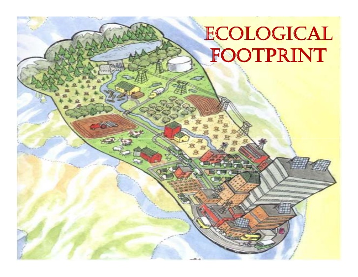 Ecological Footprint