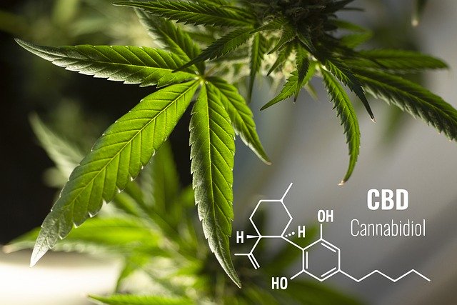 CBD%20CC%20%26%20Leaves.jpg?1640040325495
